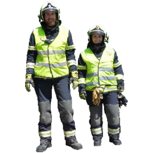 Role Equipe technique